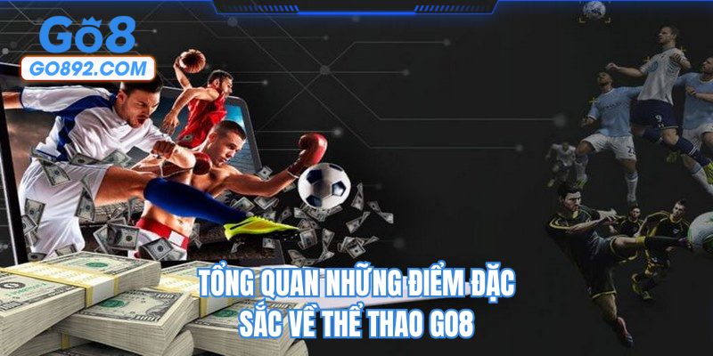Tổng quan những điểm đặc sắc về thể thao GO8